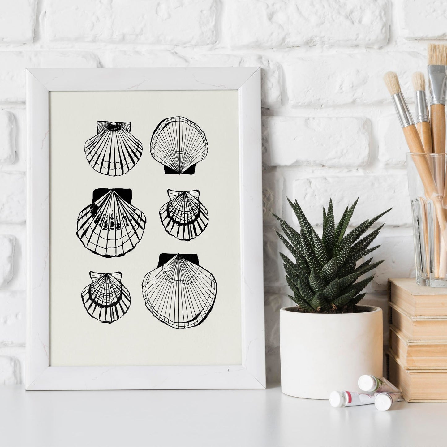 Types of scallops-Artwork-Nacnic-Nacnic Estudio SL