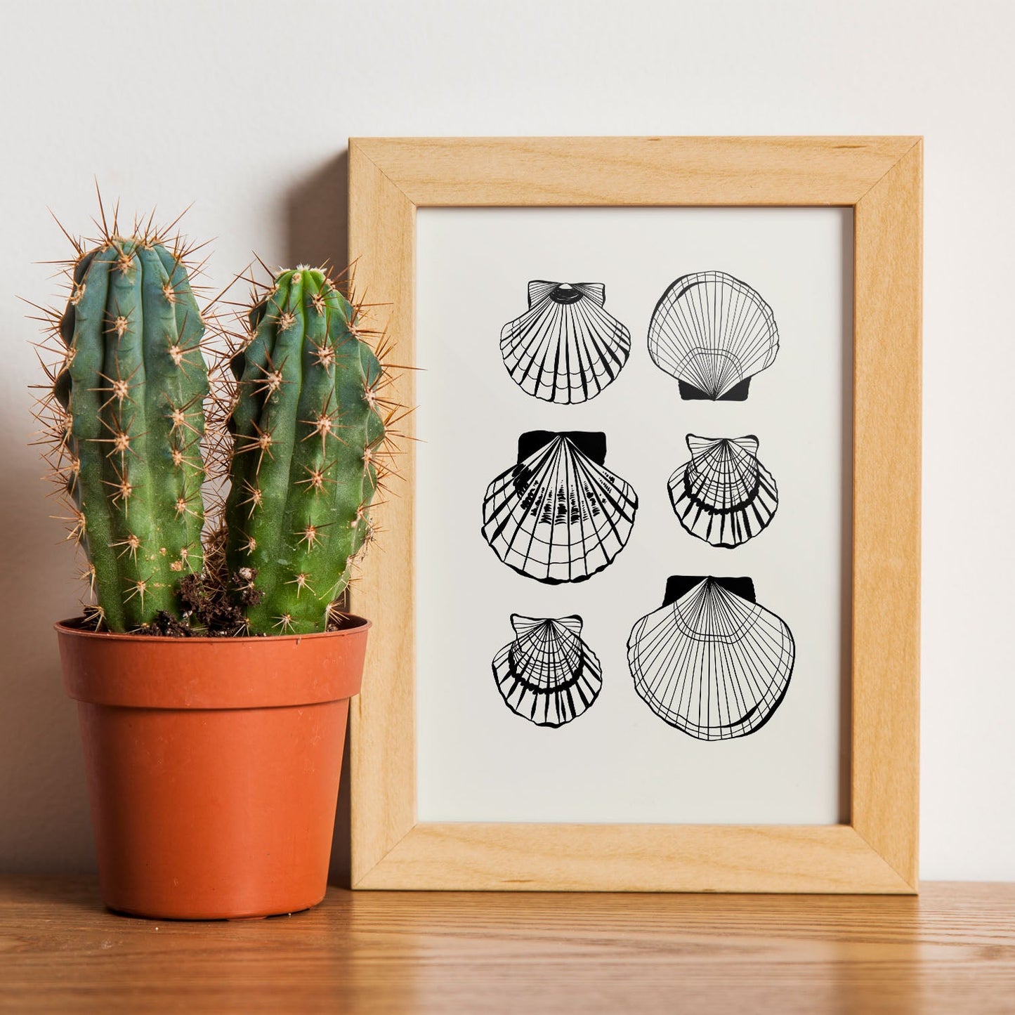 Types of scallops-Artwork-Nacnic-Nacnic Estudio SL