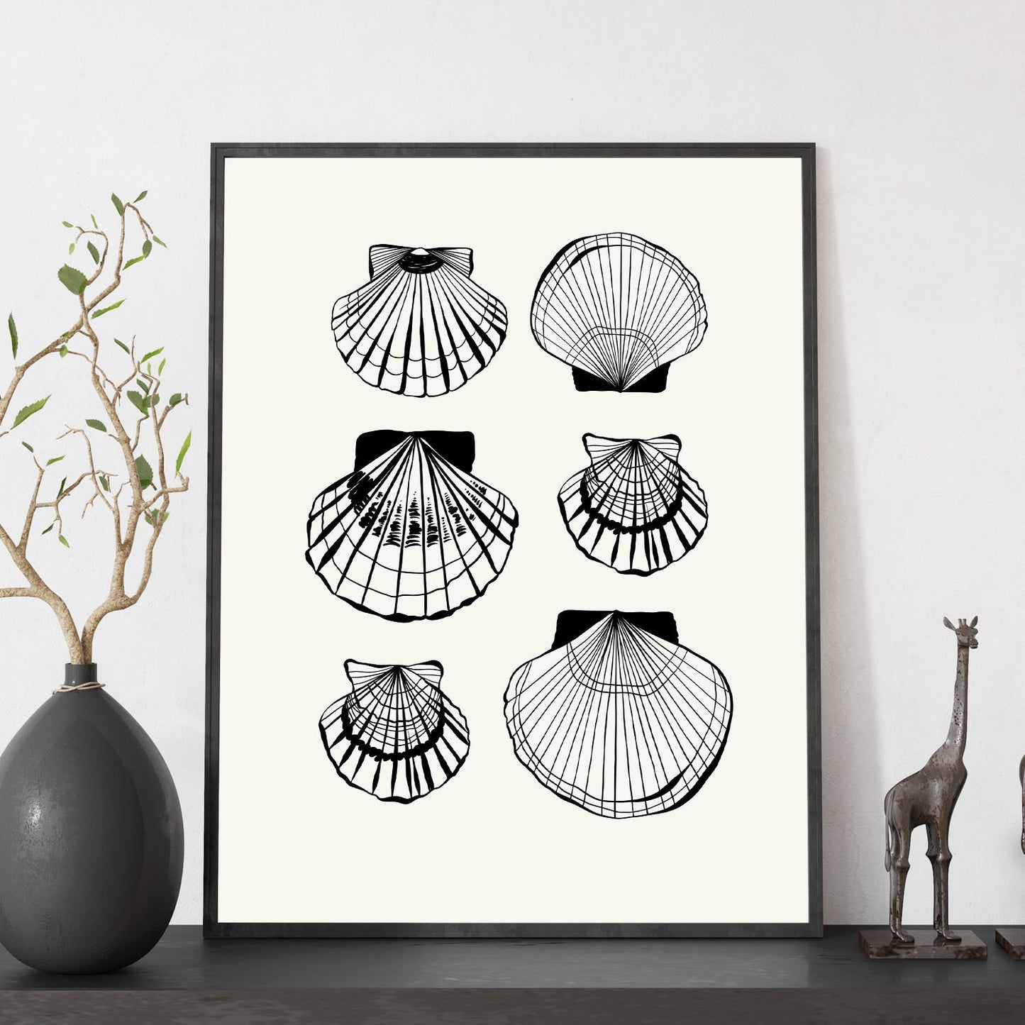 Types of scallops-Artwork-Nacnic-Nacnic Estudio SL