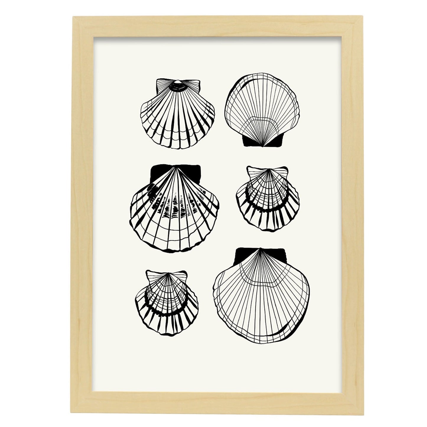Types of scallops-Artwork-Nacnic-A3-Marco Madera clara-Nacnic Estudio SL
