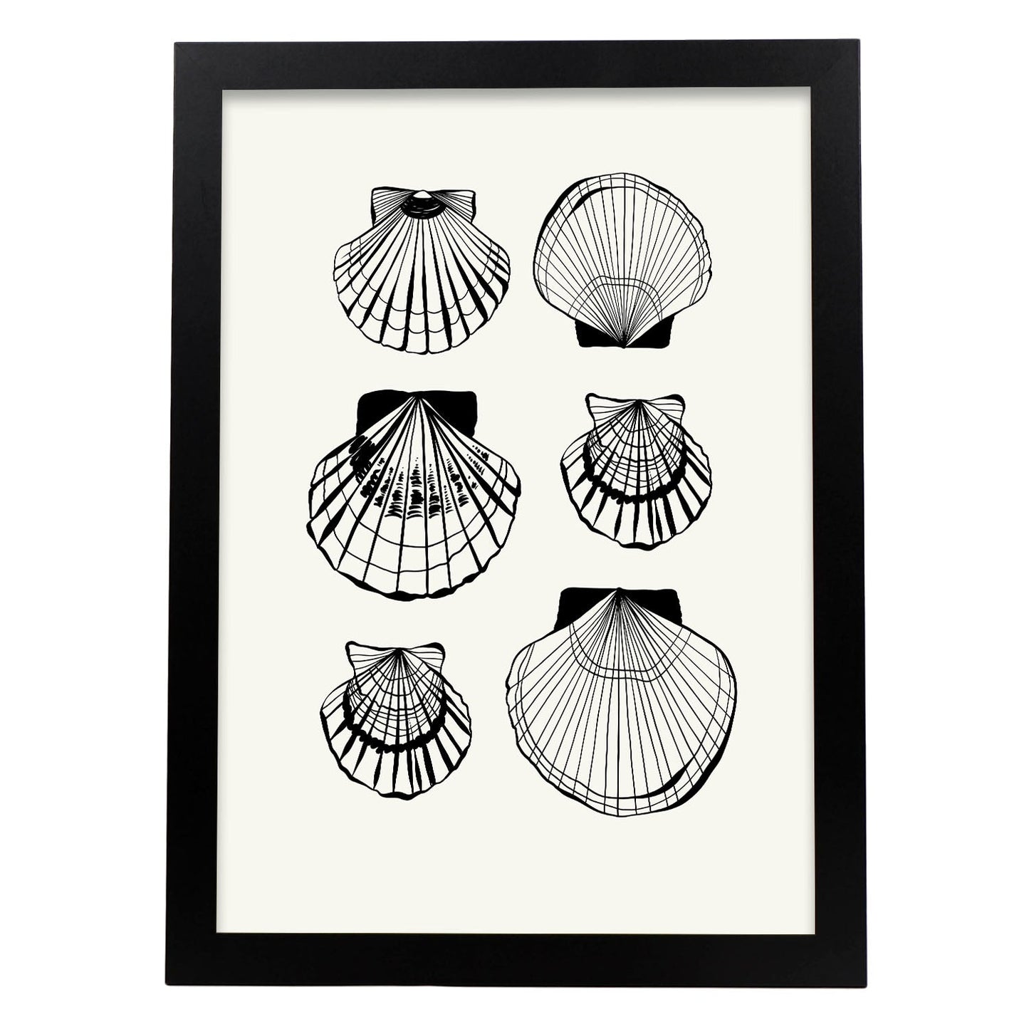Types of scallops-Artwork-Nacnic-A3-Sin marco-Nacnic Estudio SL