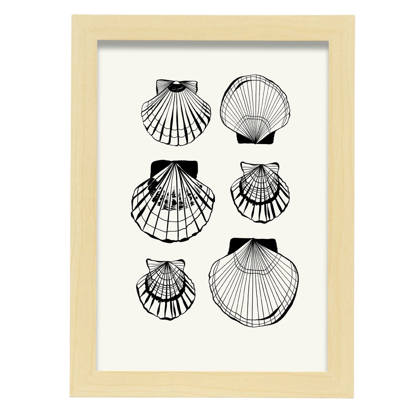 Types of scallops-Artwork-Nacnic-A4-Marco Madera clara-Nacnic Estudio SL
