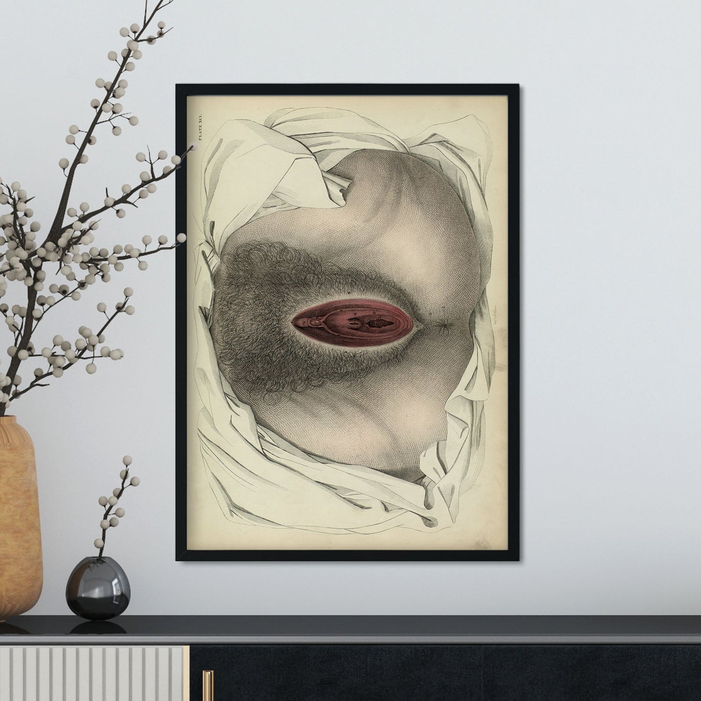 Urogenital system, female; perineum-Artwork-Nacnic-Nacnic Estudio SL