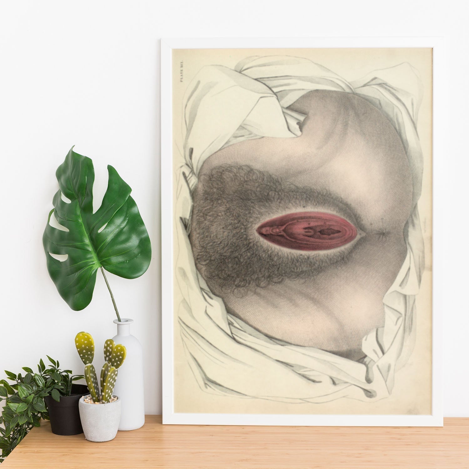 Urogenital system, female; perineum-Artwork-Nacnic-Nacnic Estudio SL