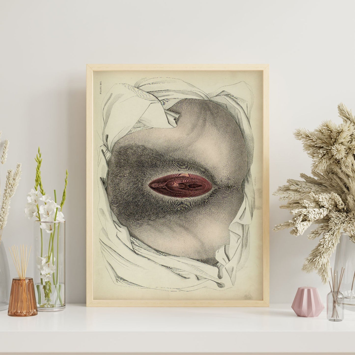 Urogenital system, female; perineum-Artwork-Nacnic-Nacnic Estudio SL