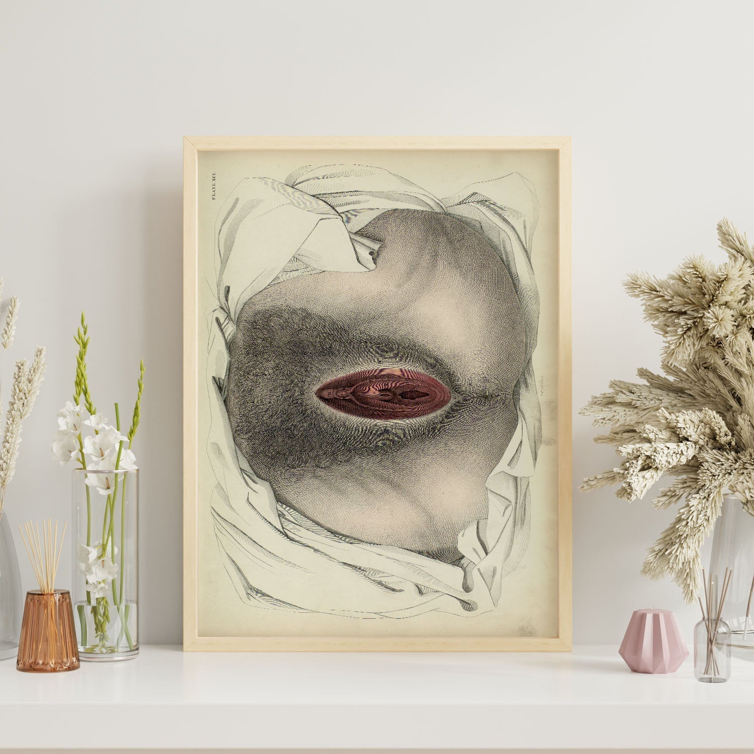 Urogenital system, female; perineum-Artwork-Nacnic-Nacnic Estudio SL