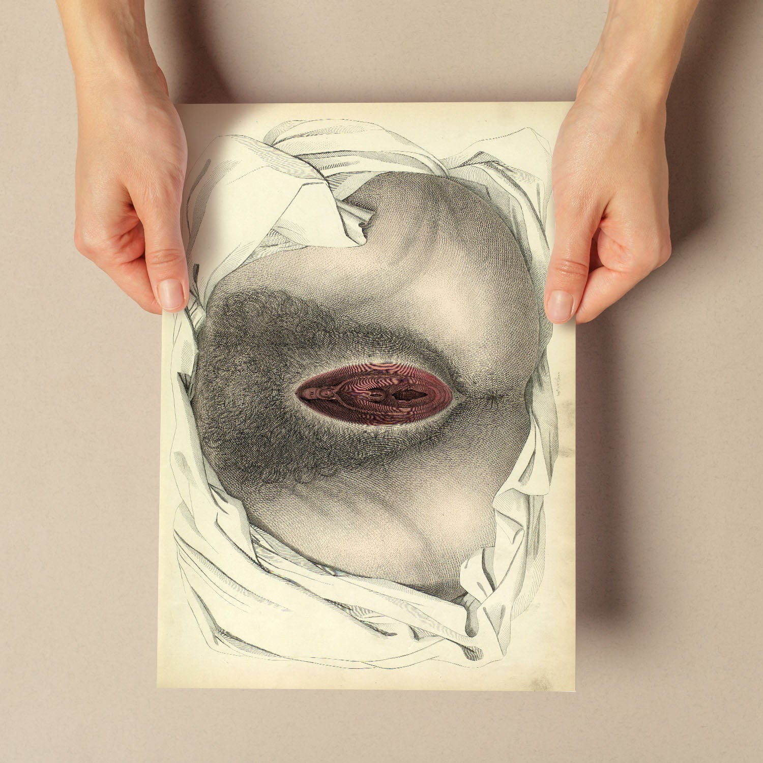 Urogenital system, female; perineum-Artwork-Nacnic-Nacnic Estudio SL