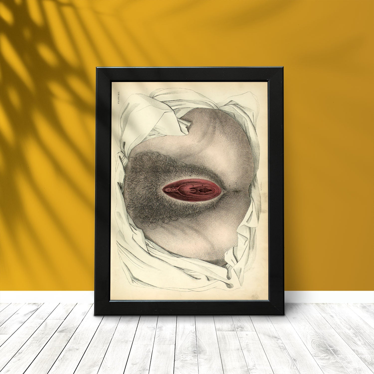 Urogenital system, female; perineum-Artwork-Nacnic-Nacnic Estudio SL