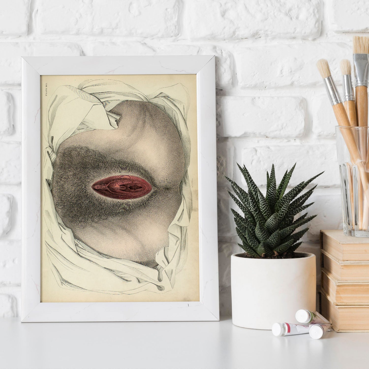 Urogenital system, female; perineum-Artwork-Nacnic-Nacnic Estudio SL