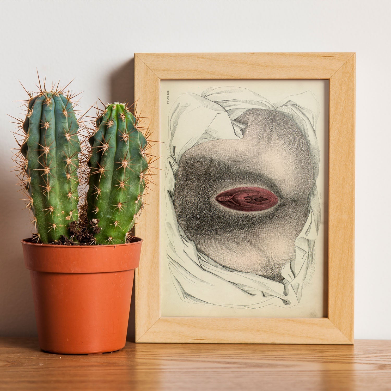 Urogenital system, female; perineum-Artwork-Nacnic-Nacnic Estudio SL