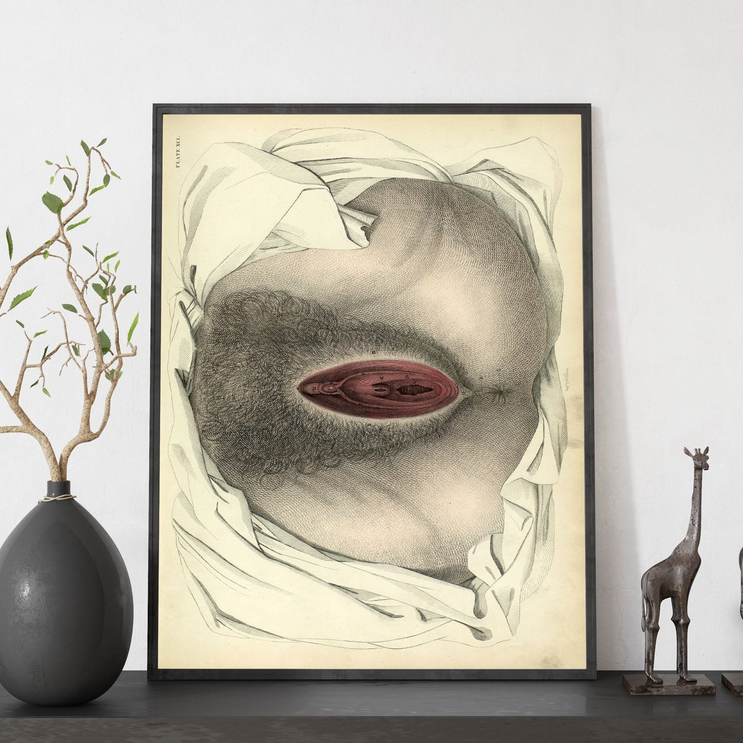 Urogenital system, female; perineum-Artwork-Nacnic-Nacnic Estudio SL