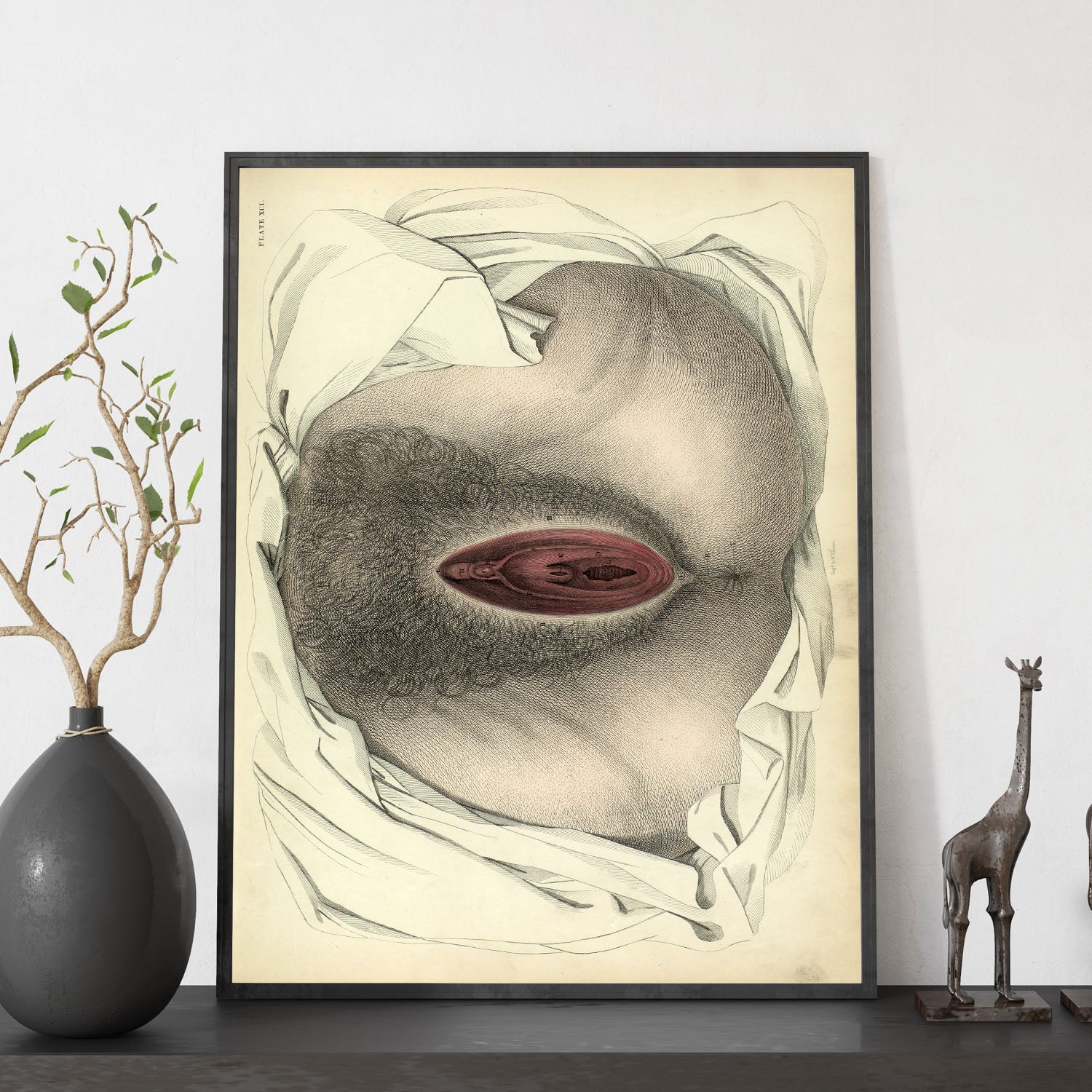 Urogenital system, female; perineum-Artwork-Nacnic-Nacnic Estudio SL