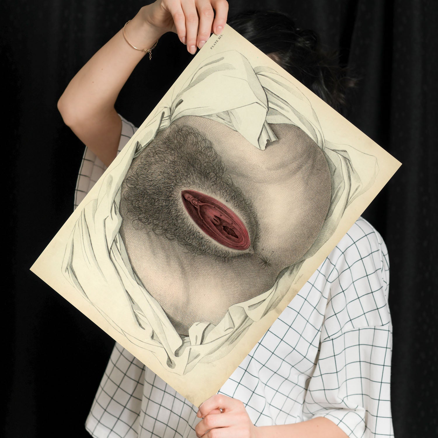 Urogenital system, female; perineum-Artwork-Nacnic-Nacnic Estudio SL