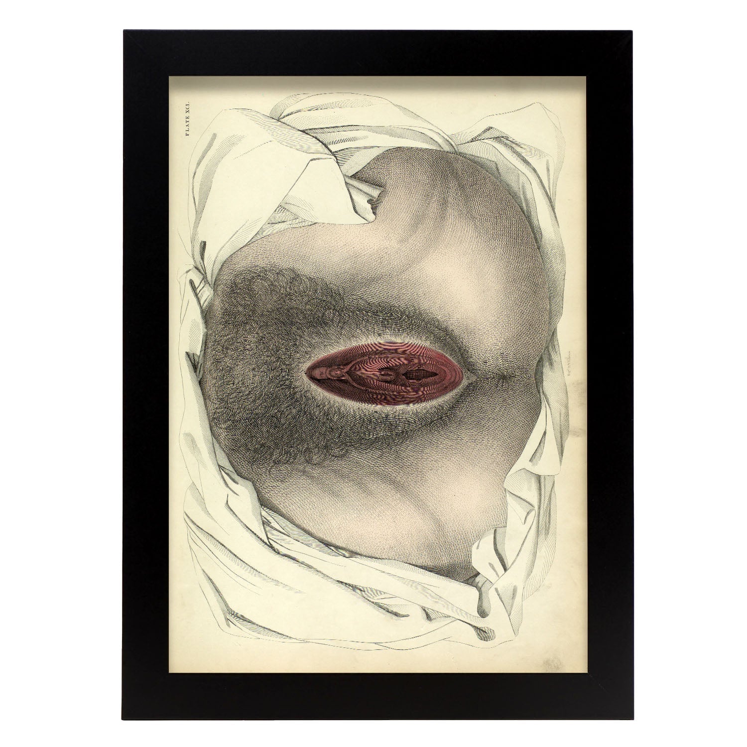Urogenital system, female; perineum-Artwork-Nacnic-A4-Sin marco-Nacnic Estudio SL