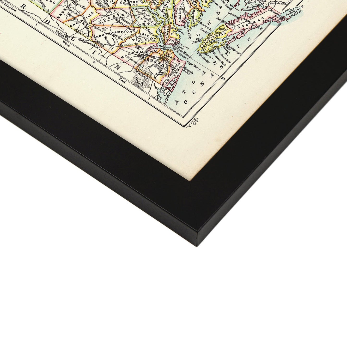 Virginia 1885-Artwork-Nacnic-Nacnic Estudio SL