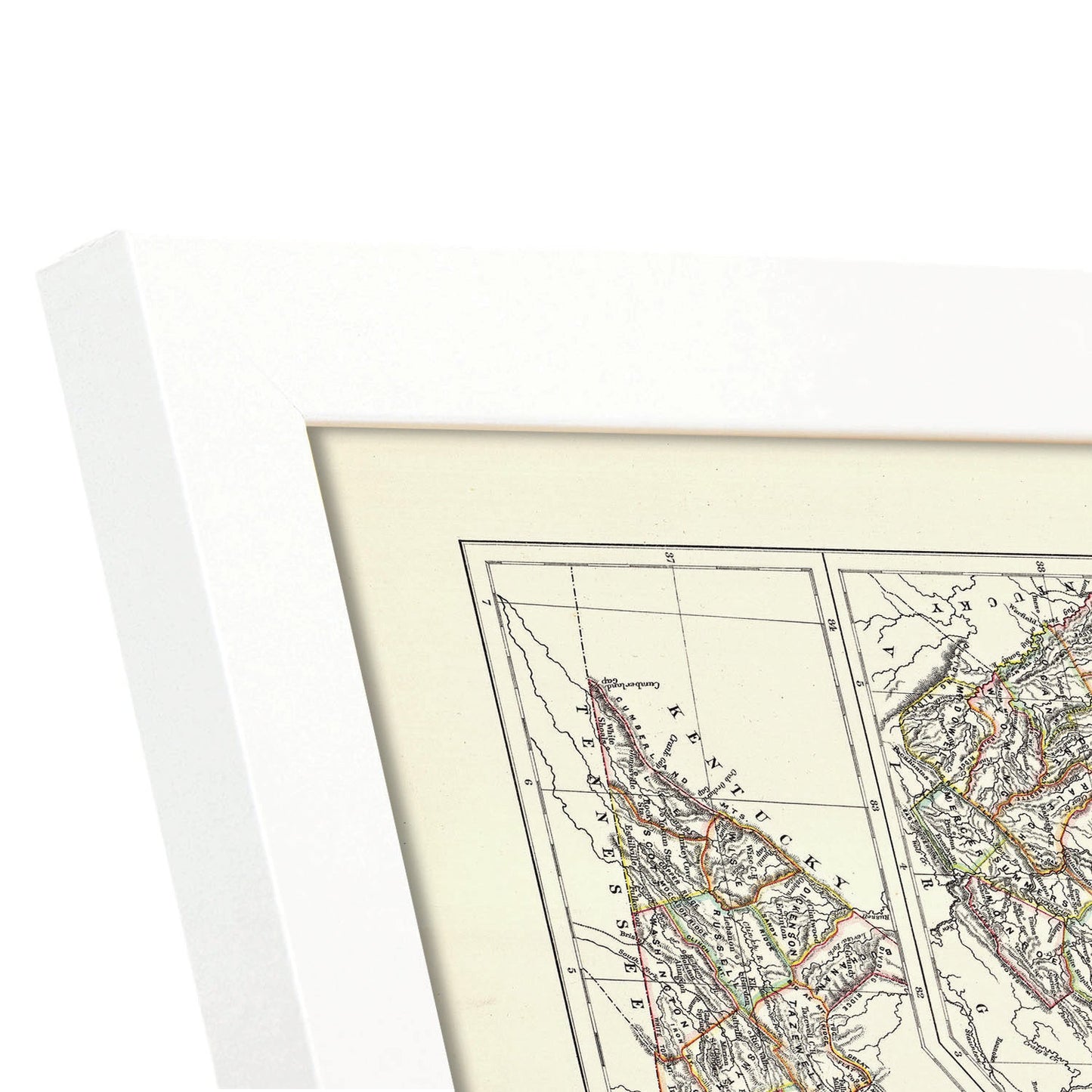 Virginia 1885-Artwork-Nacnic-Nacnic Estudio SL