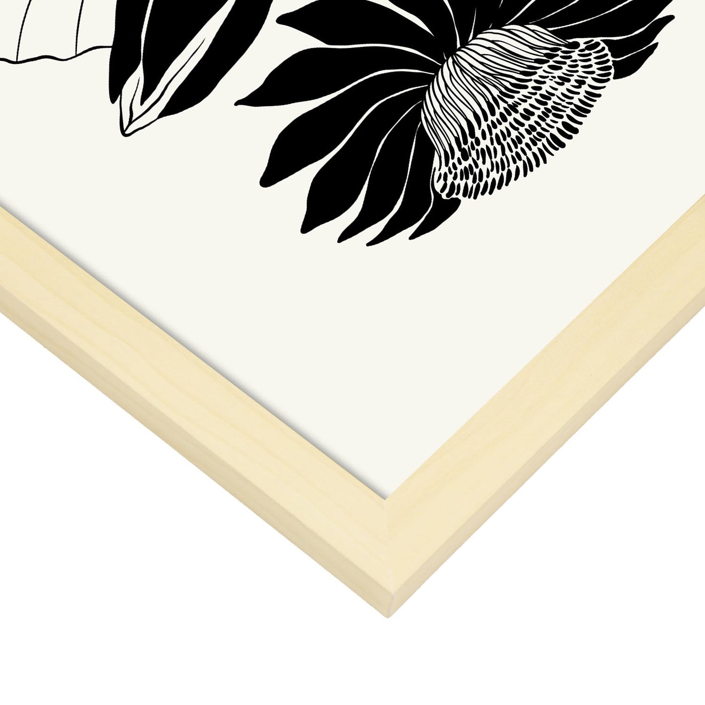 Water Lily-Artwork-Nacnic-Nacnic Estudio SL
