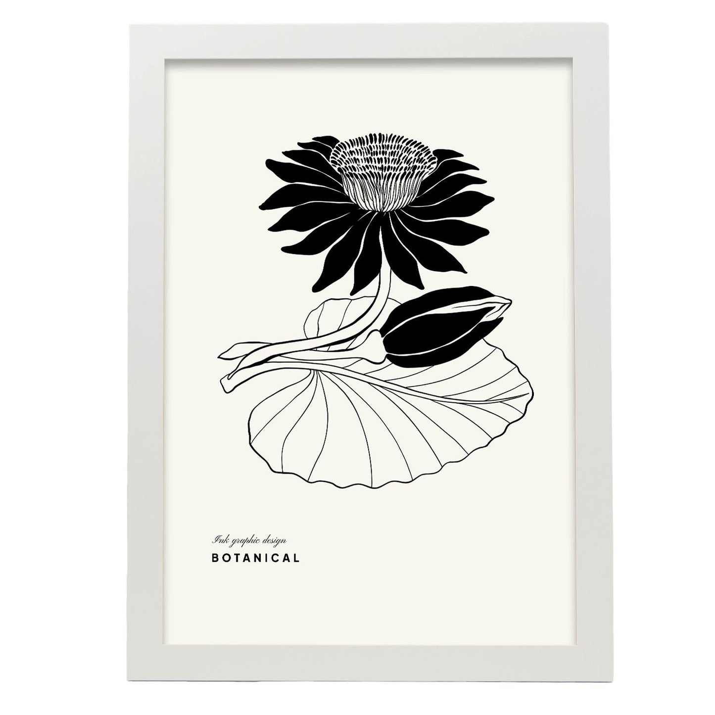 Water Lily-Artwork-Nacnic-A3-Marco Blanco-Nacnic Estudio SL