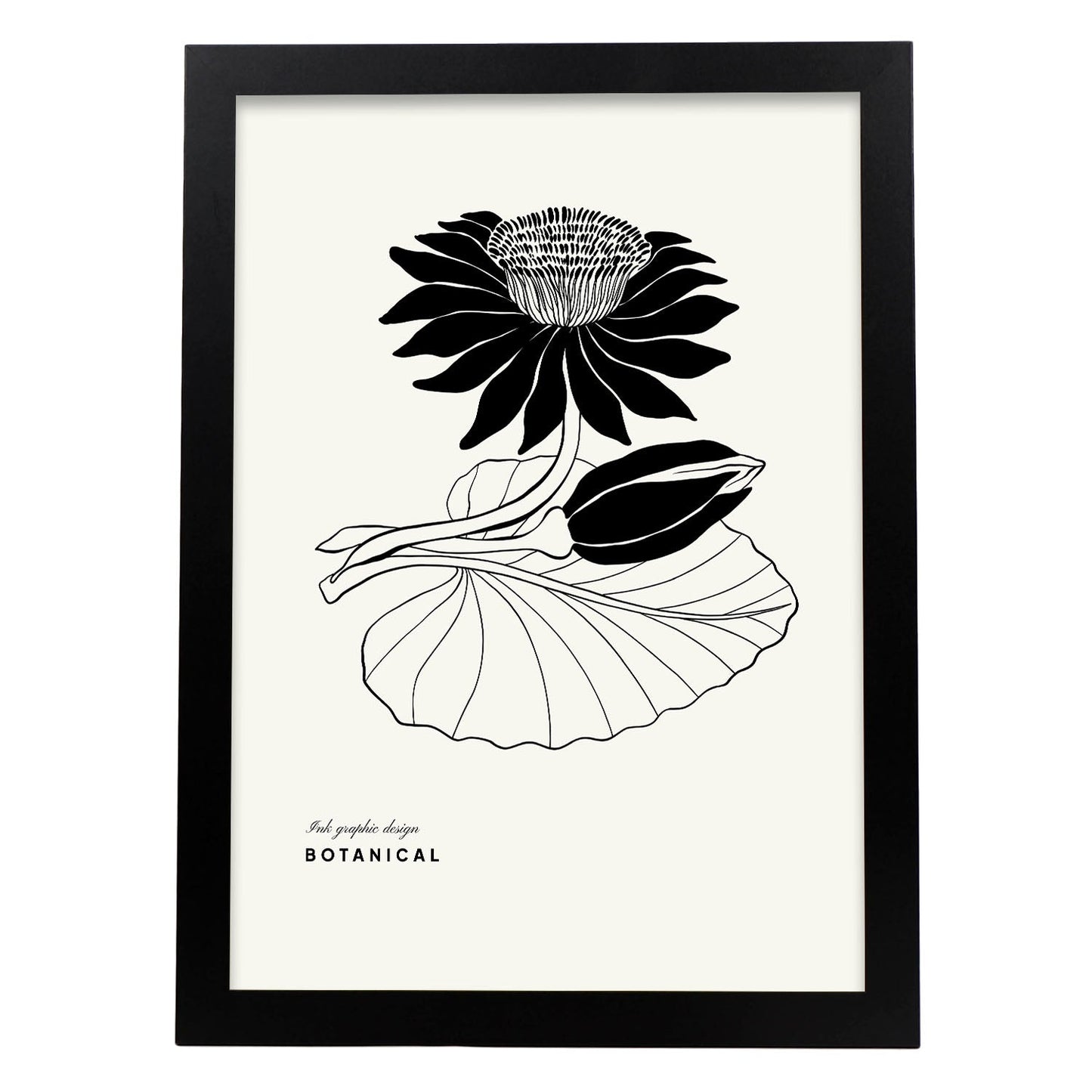 Water Lily-Artwork-Nacnic-A3-Sin marco-Nacnic Estudio SL