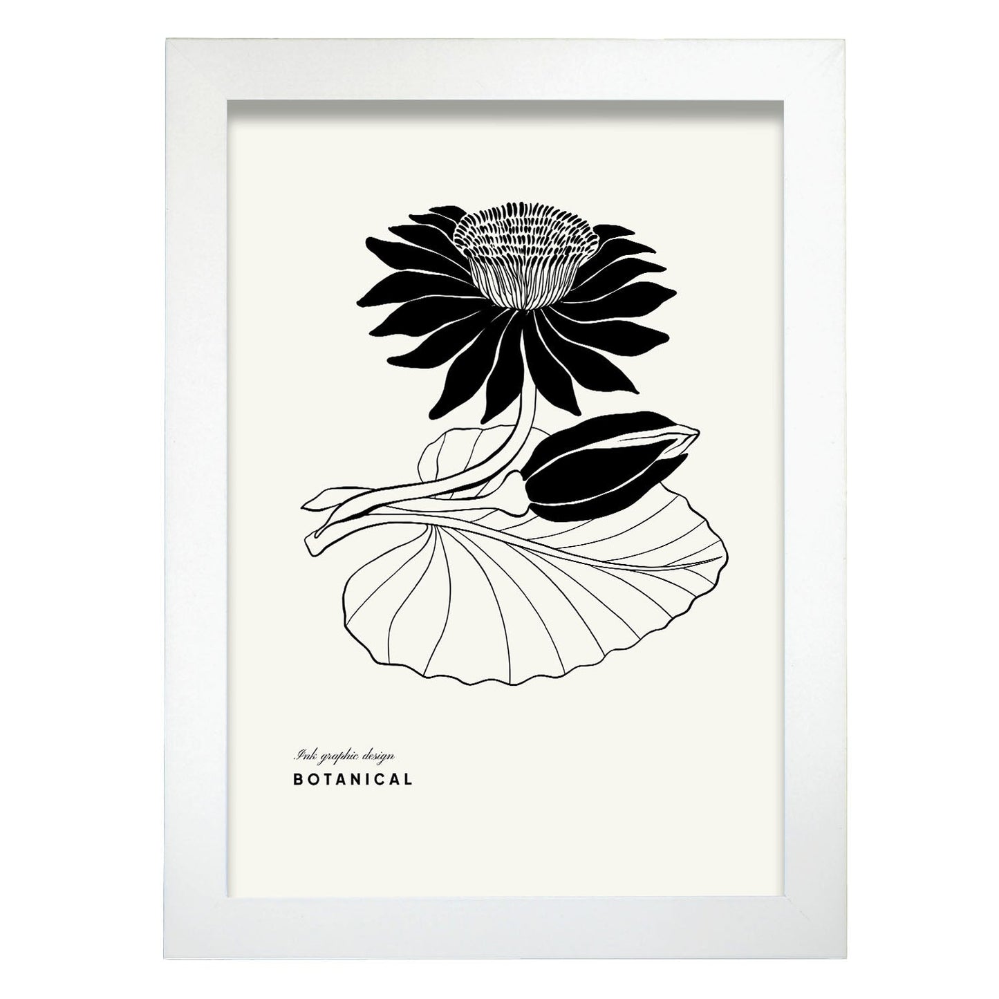 Water Lily-Artwork-Nacnic-A4-Marco Blanco-Nacnic Estudio SL
