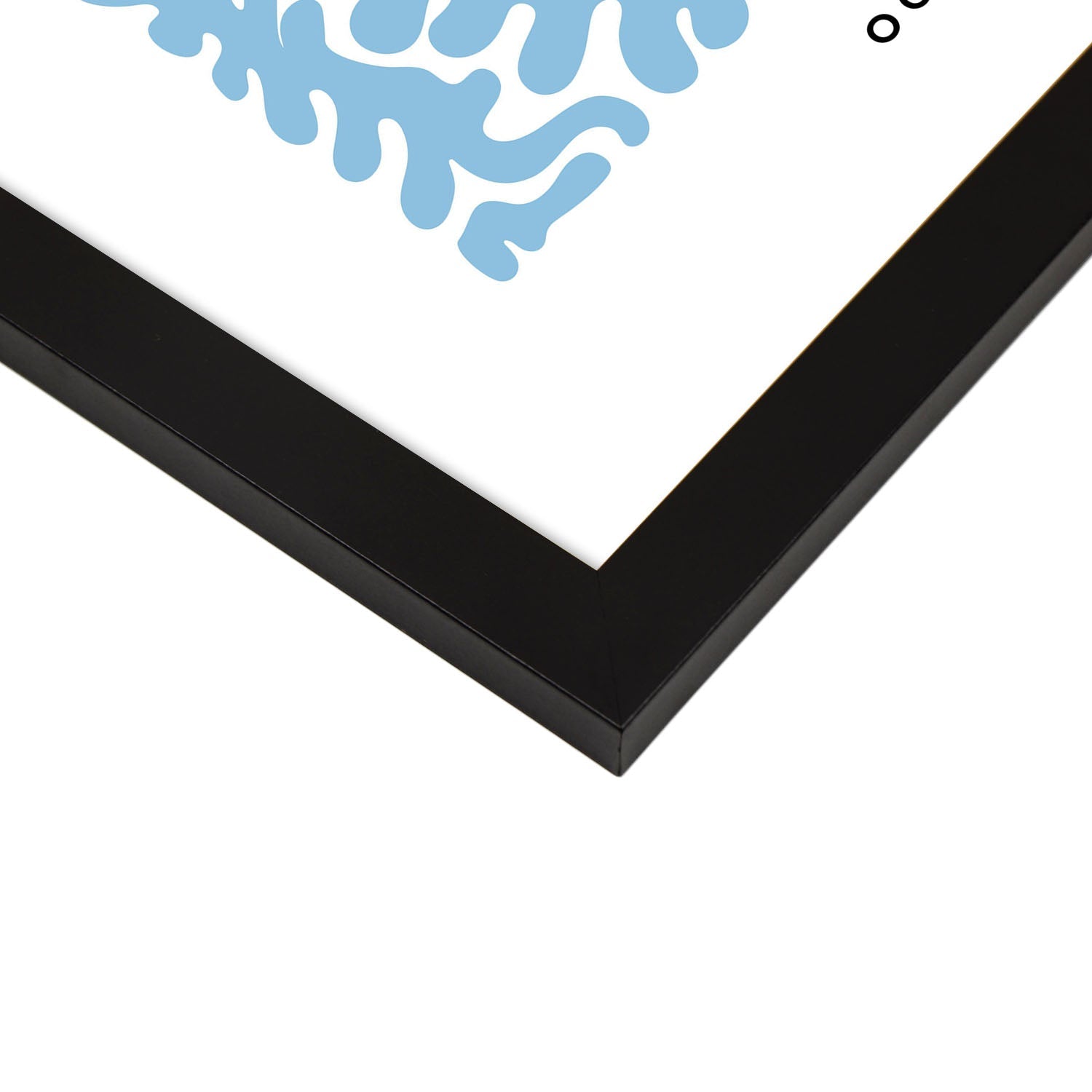 Wentletrap-Artwork-Nacnic-Nacnic Estudio SL