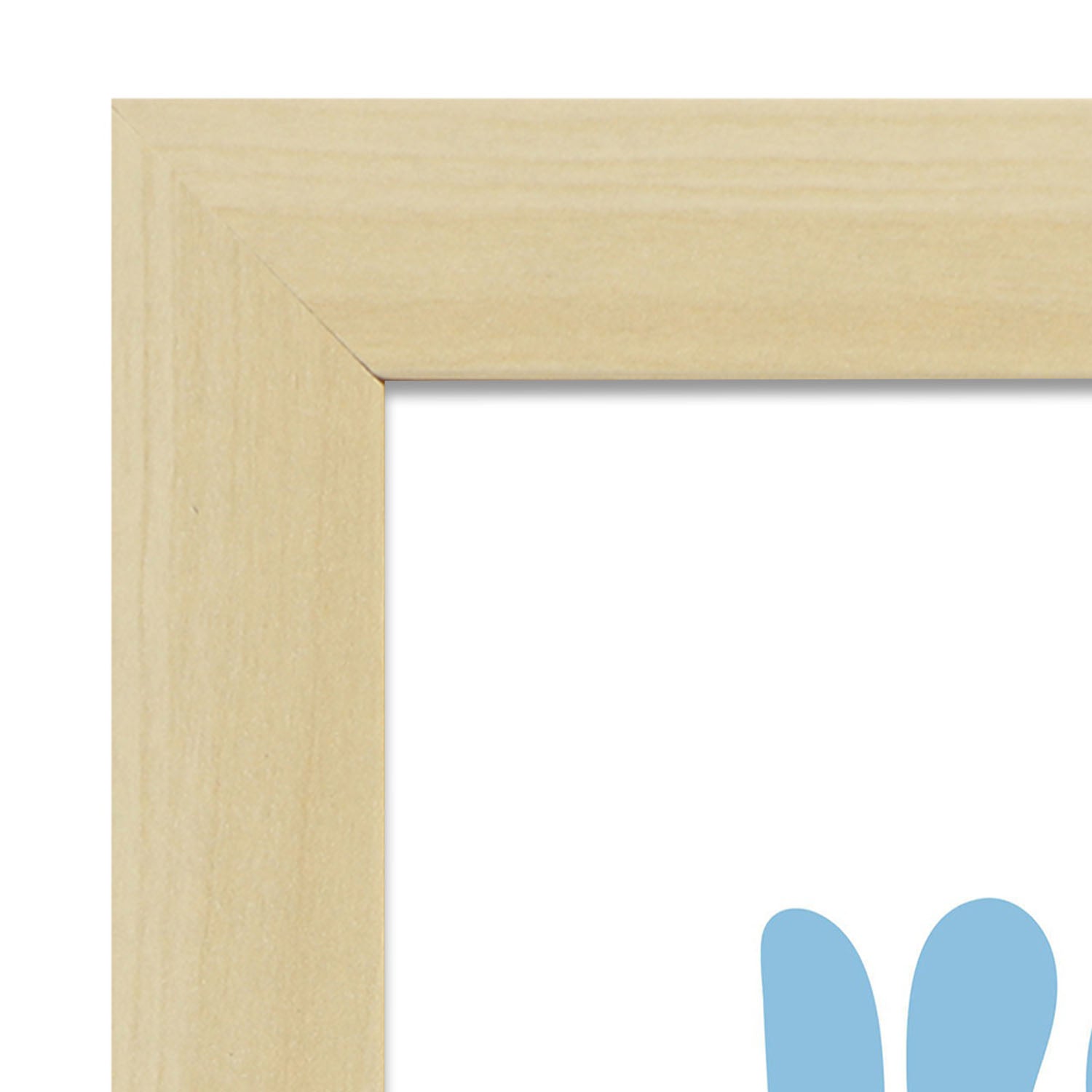 Wentletrap-Artwork-Nacnic-Nacnic Estudio SL