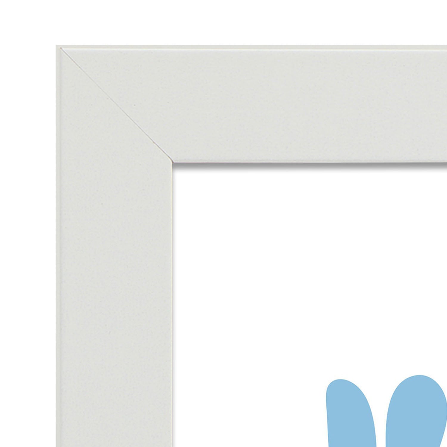 Wentletrap-Artwork-Nacnic-Nacnic Estudio SL