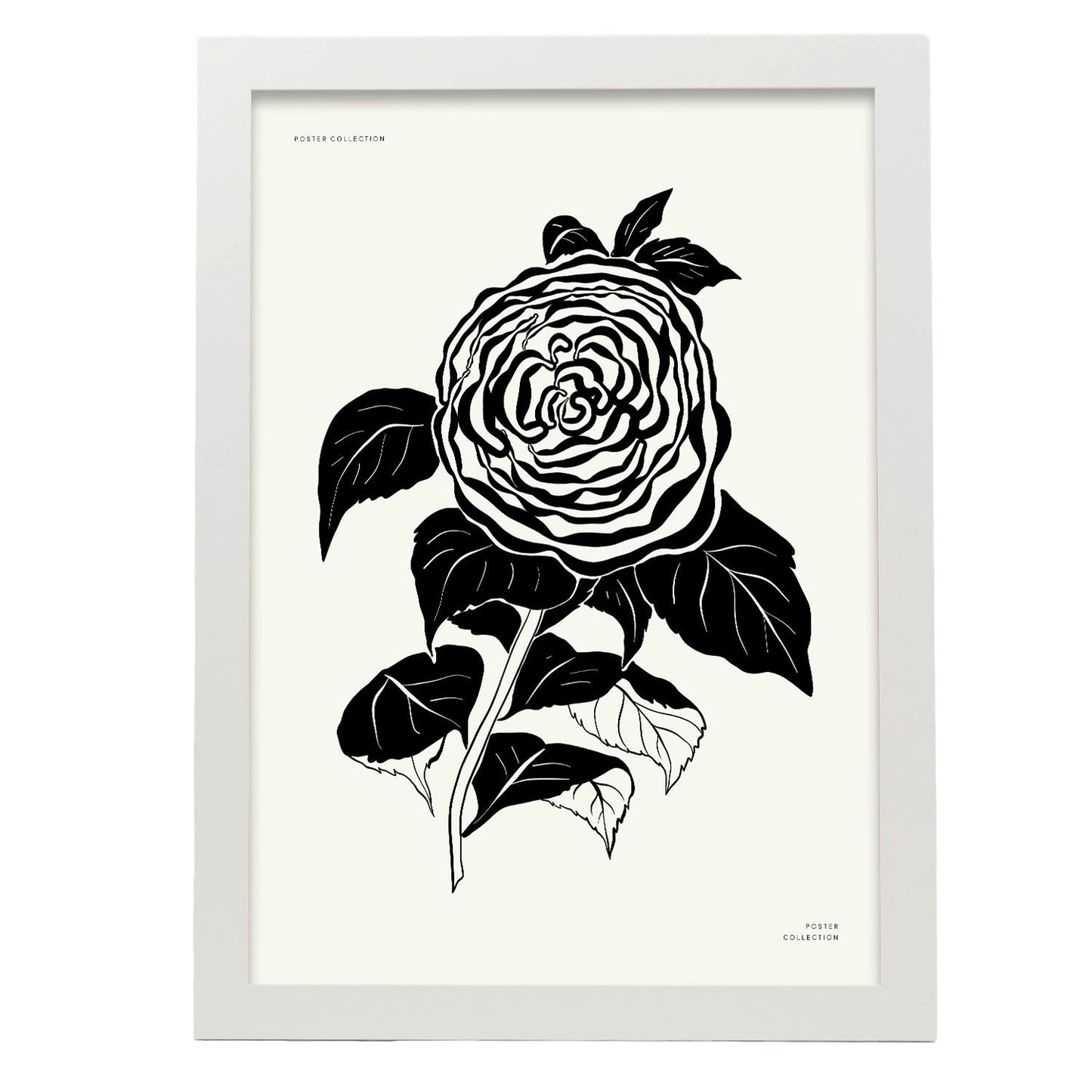 Zinnia-Artwork-Nacnic-A3-Marco Blanco-Nacnic Estudio SL