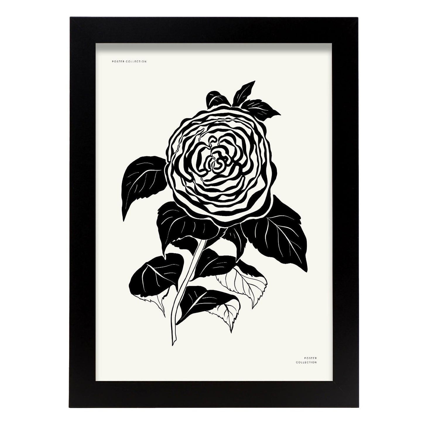 Zinnia-Artwork-Nacnic-A4-Sin marco-Nacnic Estudio SL