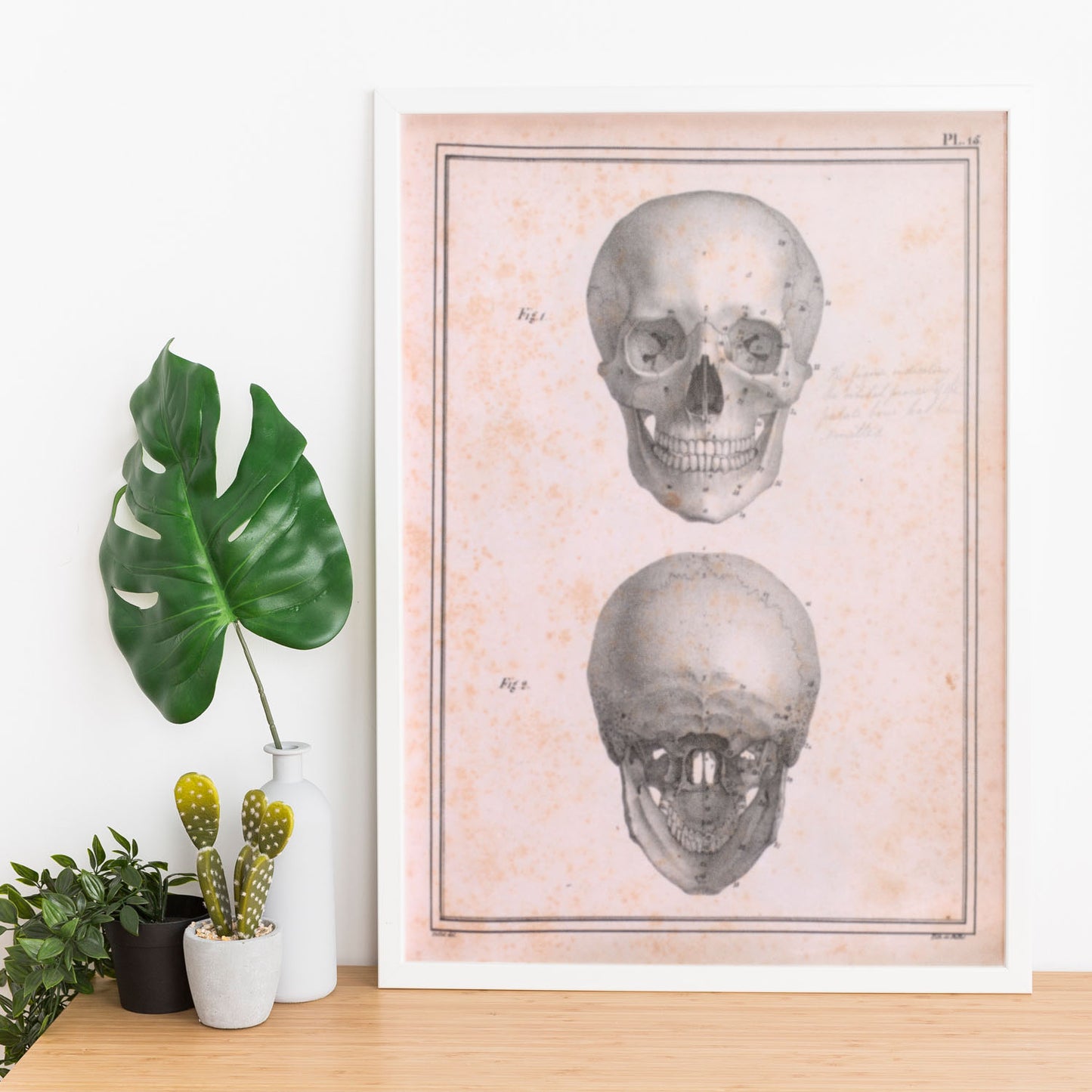 Paillou Skull-Artwork-Nacnic-Nacnic Estudio SL