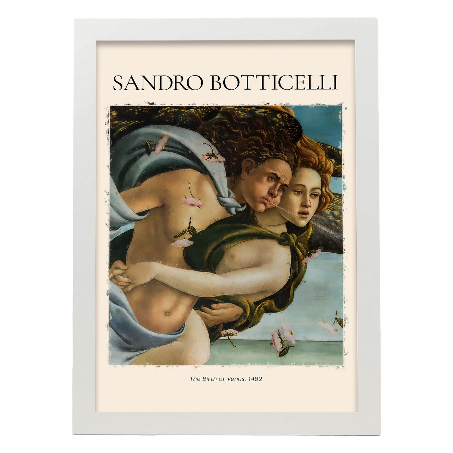 Lámina estética de El Nacimiento de Venus de Sandro Botticelli