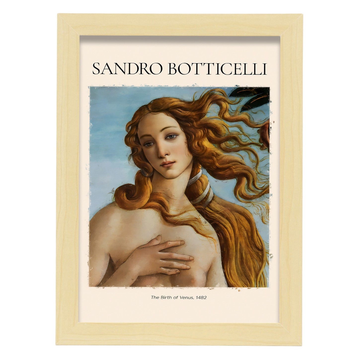 Lámina decorativa de El nacimiento de Venus 1482 de Sandro Botticelli