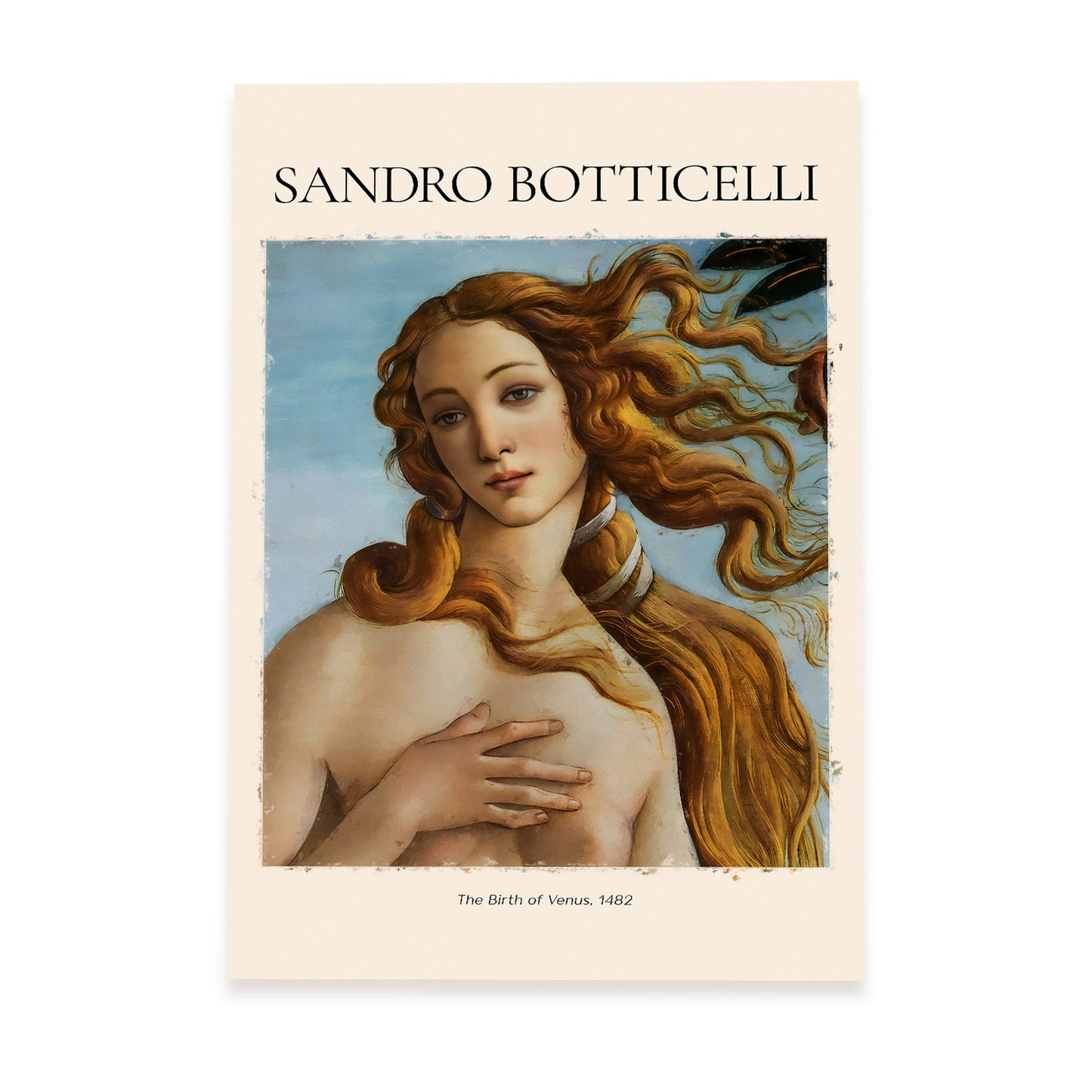 Lámina decorativa de El nacimiento de Venus 1482 de Sandro Botticelli