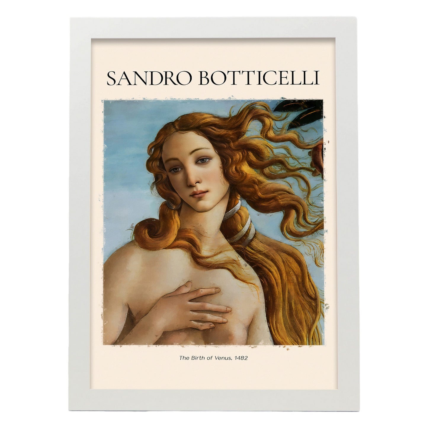 Lámina decorativa de El nacimiento de Venus 1482 de Sandro Botticelli