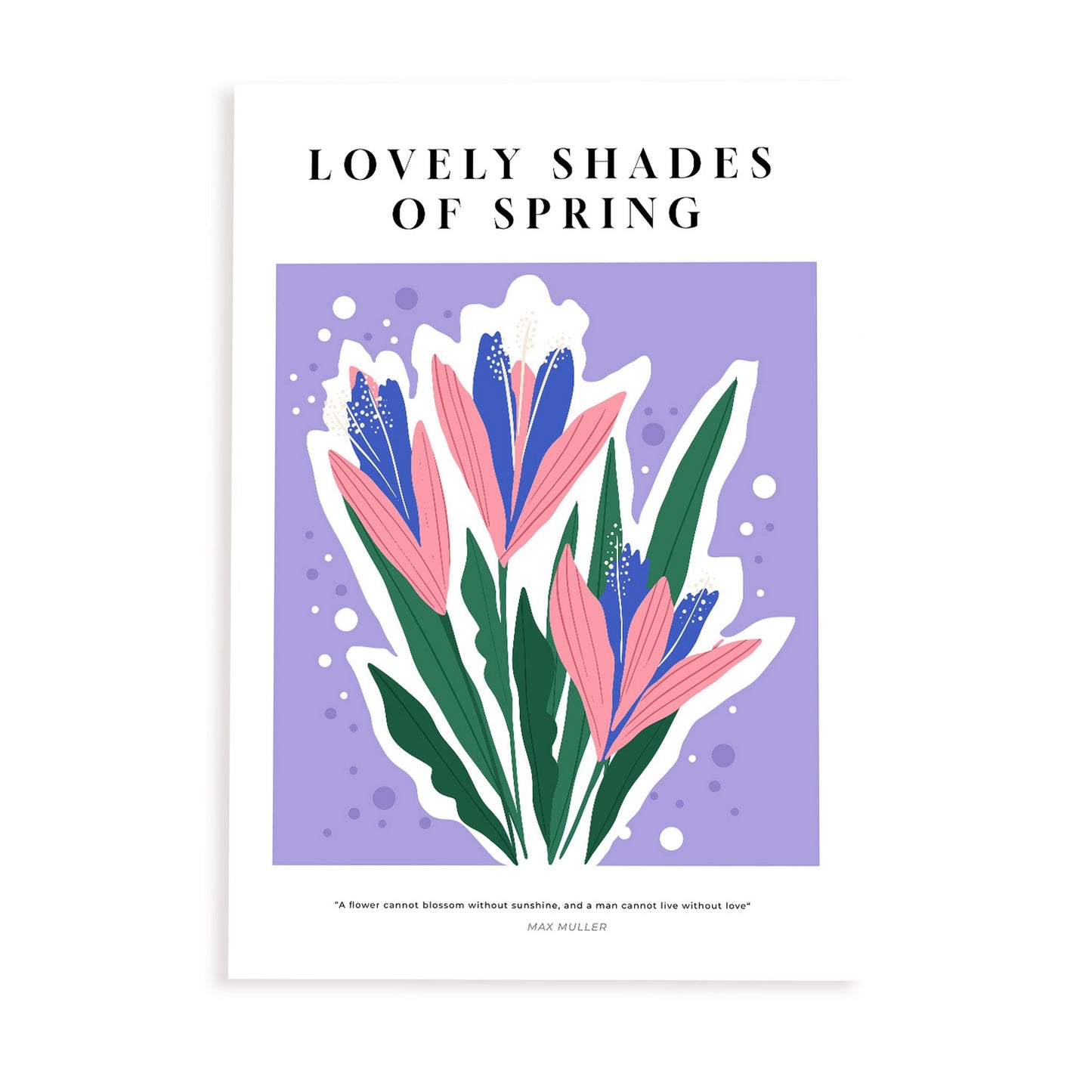 Lámina de Hermosos Tonos de Primavera