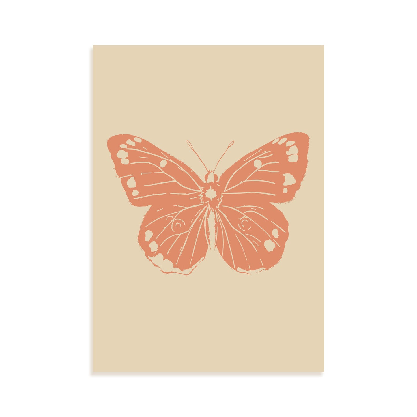 Lámina Nacnic Mariposa Hermosa Inspirada en Matisse