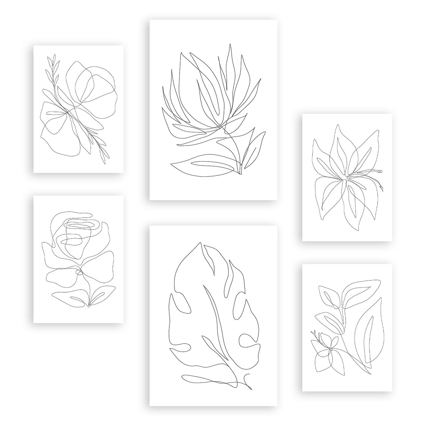 Nacnic Set de 6 Láminas Abstractas de Flores Estéticas