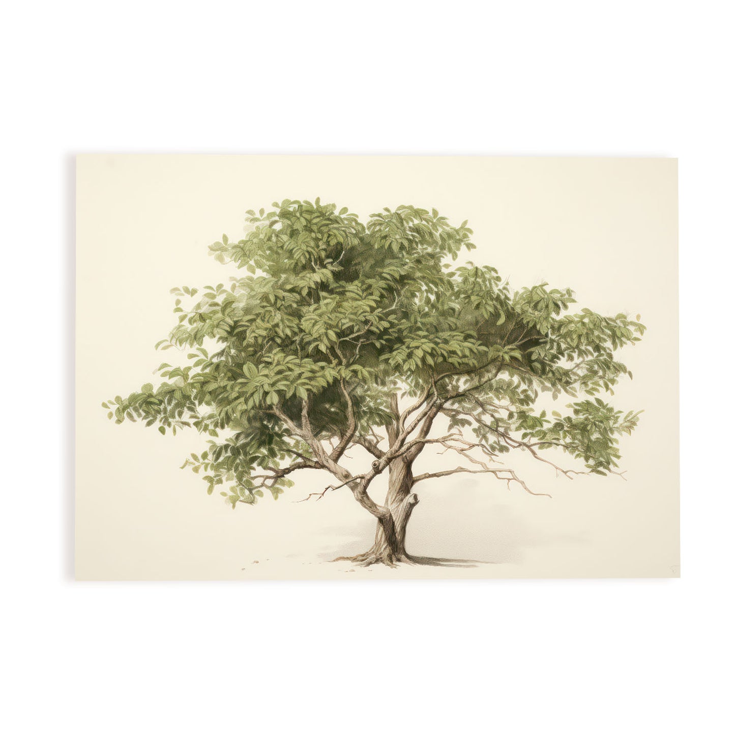 Nacnic Puerta de entrada Lamina. En Impresiones de guardería de vista colorida. Estampados decorativos estéticos para su sala de estar, dormitorio, hogar