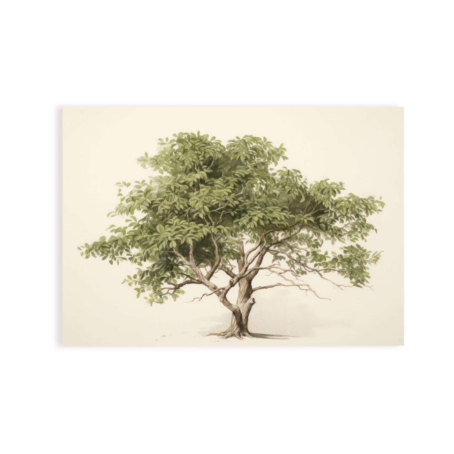 Nacnic Puerta de entrada Lamina. En Impresiones de guardería de vista colorida. Estampados decorativos estéticos para su sala de estar, dormitorio, hogar