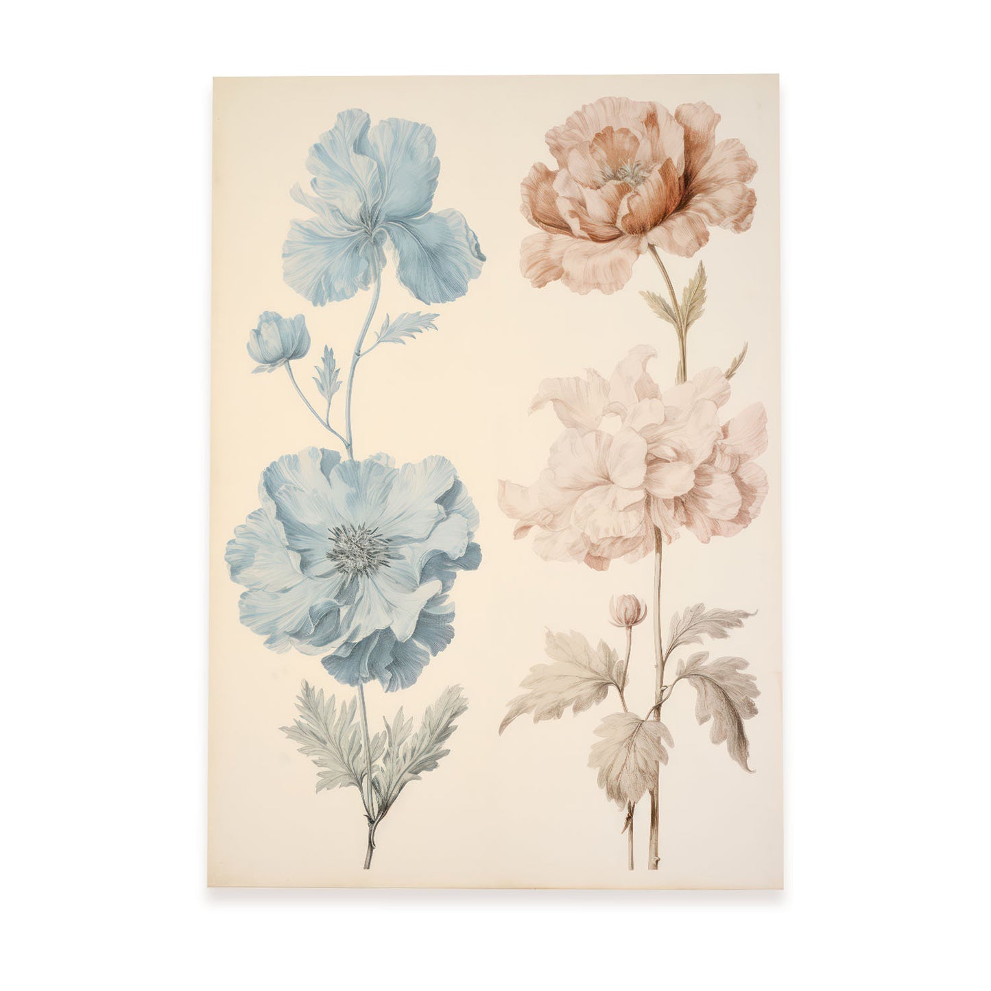 Nacnic Lámina Las flores 5