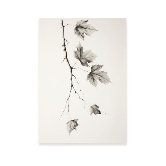 Nacnic Lámina Decorativa de Números y Alfabetos