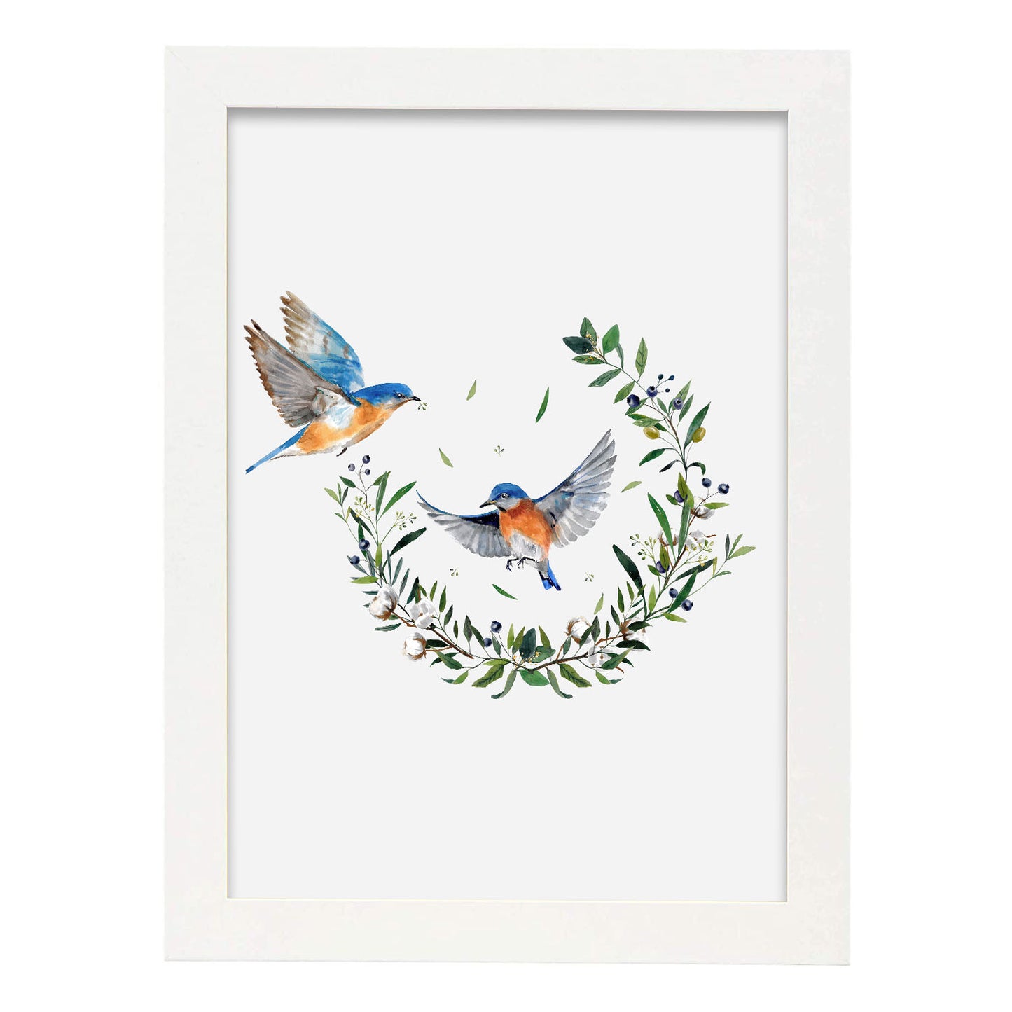Nacnic Lámina de Aves de Puriry