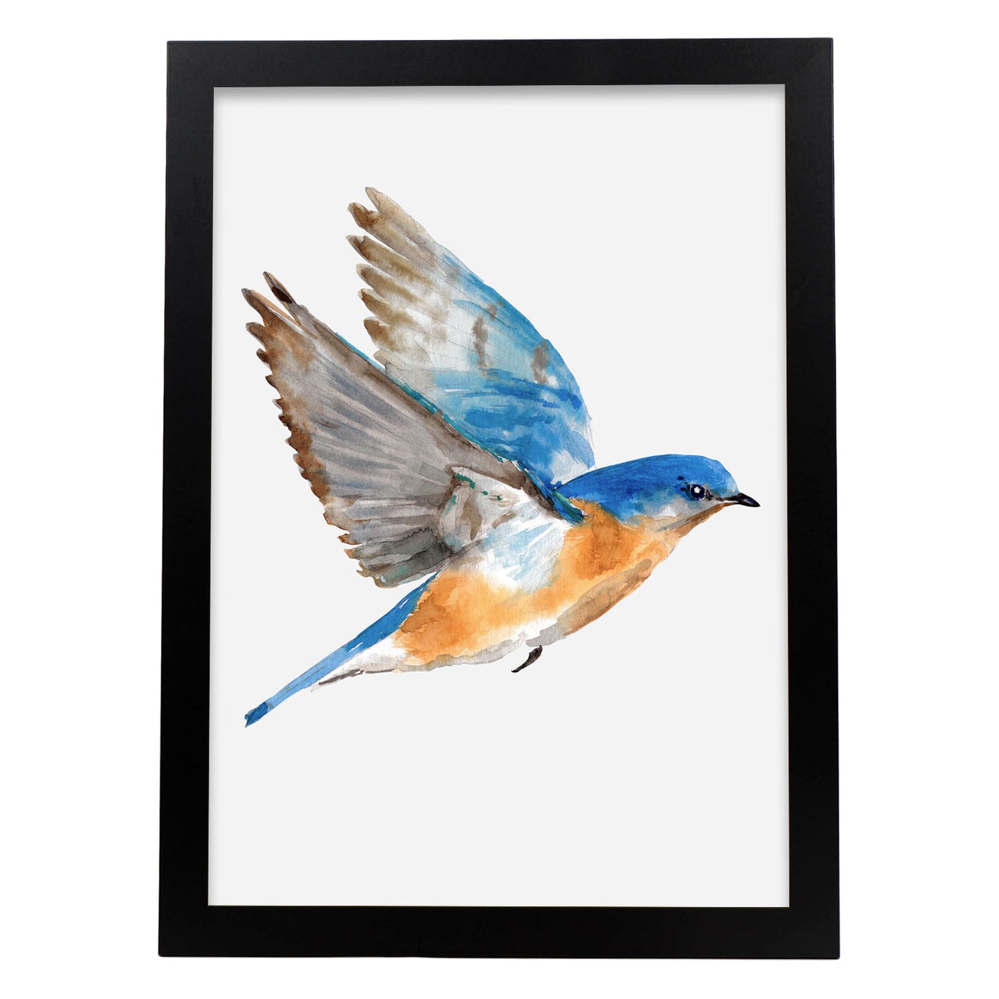 Lámina Decorativa Nacnic Pájaro Azulado