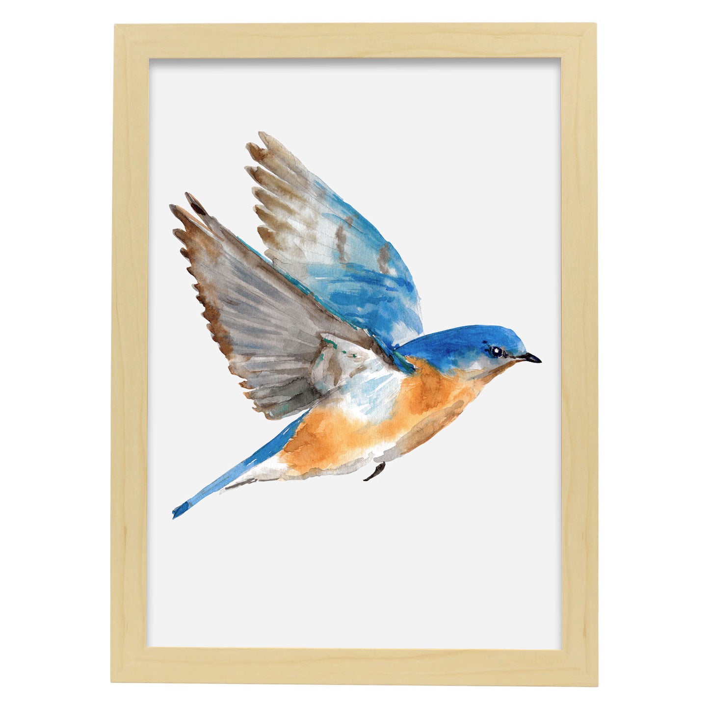 Lámina Decorativa Nacnic Pájaro Azulado