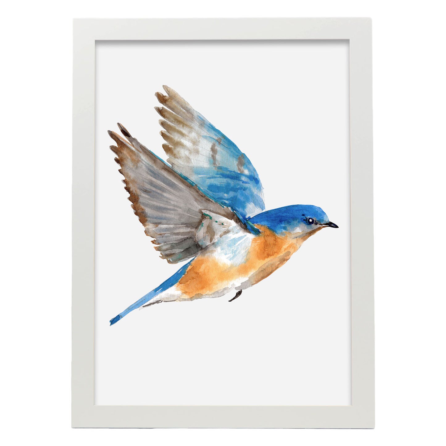 Lámina Decorativa Nacnic Pájaro Azulado