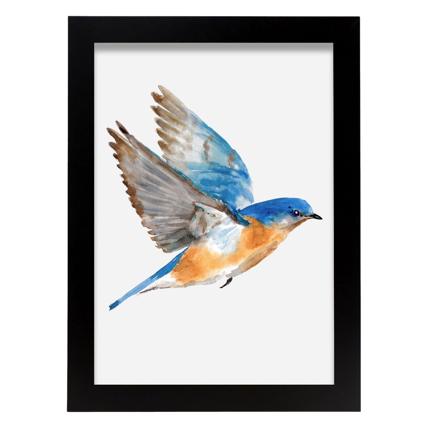 Lámina Decorativa Nacnic Pájaro Azulado