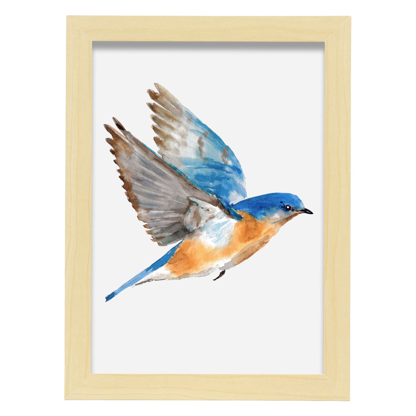 Lámina Decorativa Nacnic Pájaro Azulado