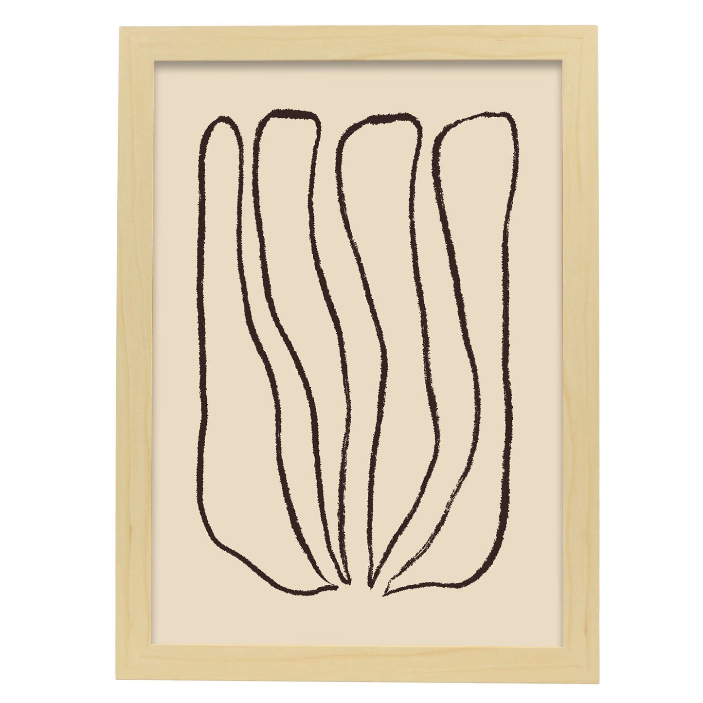 Nacnic Lámina de Flor de Tulipán