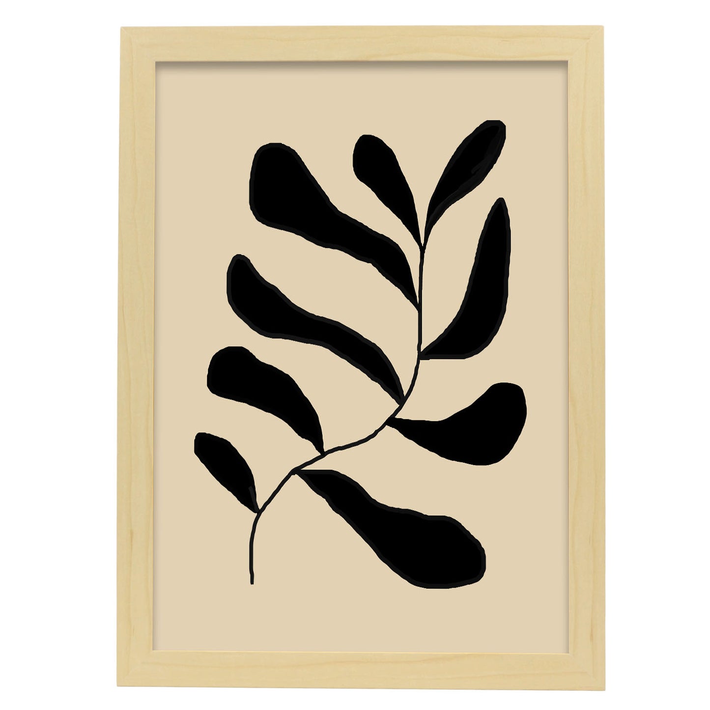 Lamina Nacnic Hojas de Clement