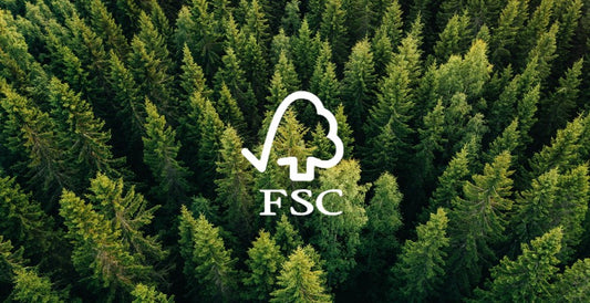 Nacnic y su Compromiso con el Medio Ambiente: Certificaciones FSC, Ecolabel y Xerox Quality